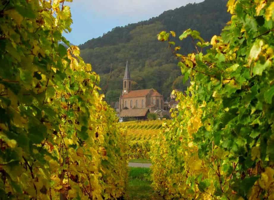 DISCOVERING ALSACE