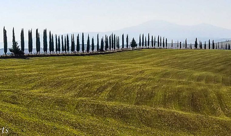 veloski-bicycle-tour-cypress-field_tuscany_1400x567-3-761x450