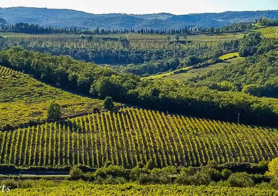 veloski-bicycle-tour-vineyards-hills_tuscany_1400x652-15-922x652