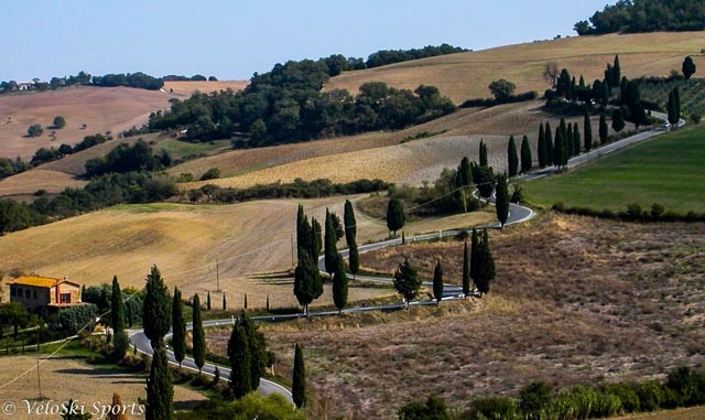 Cypress_road.jpg